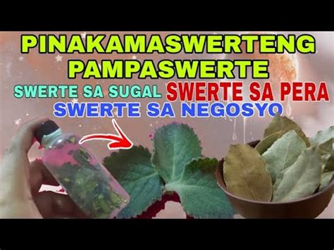 paano maging swerte sa sugal|PAMPASWERTE SA SUGAL .